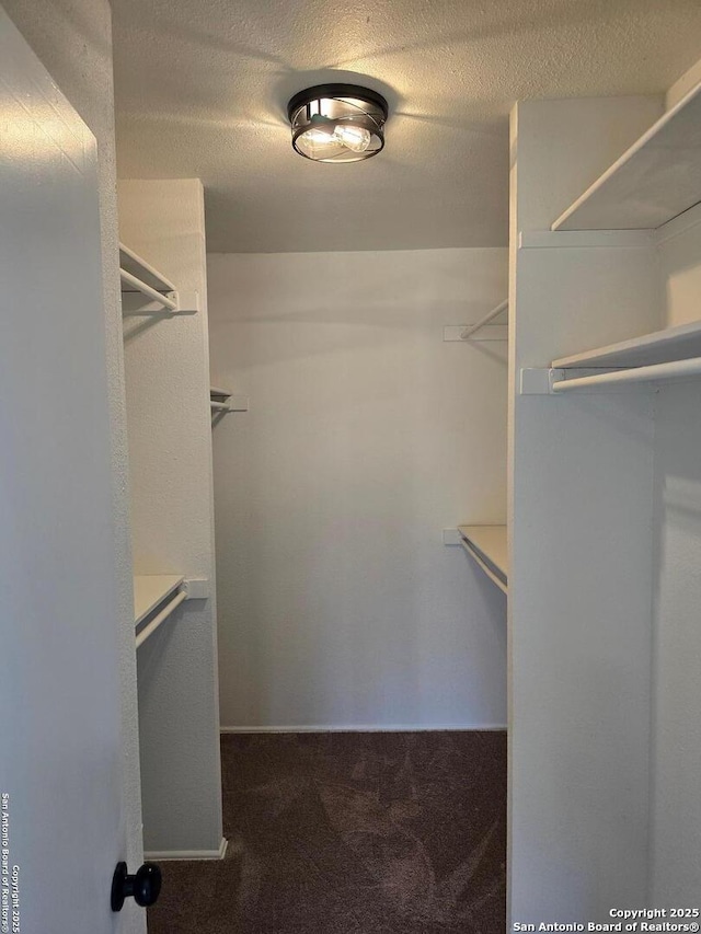 7401 Old Spanish Trl, Live Oak, TX 78233 - spacious closet with carpet