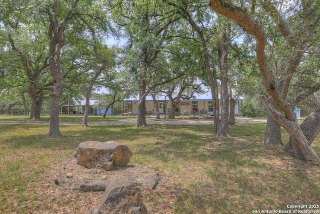 163 Eden Rnch, Canyon Lake, TX 78133 - view of grassy yard
