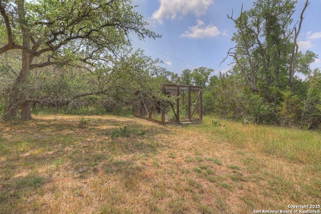 163 Eden Rnch, Canyon Lake, TX 78133 - view of yard