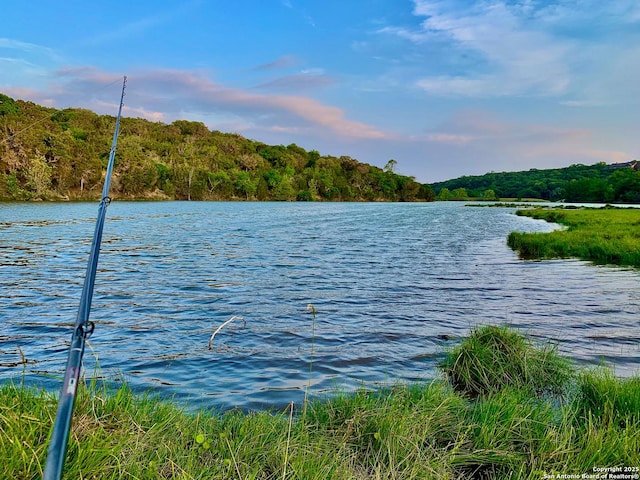 121 N Spanish Oak Trl, Kerrville, TX 78028 - water view with a heavily wooded area