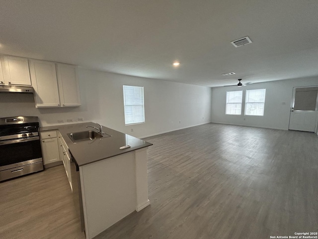 614 Agave, Jourdanton, TX 78026 - kitchen featuring stainless steel gas range, a sink, a peninsula, open floor plan, and white cabinets