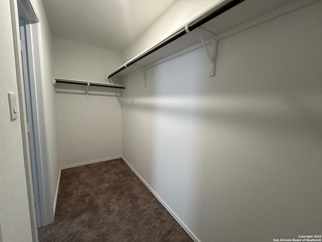 614 Agave, Jourdanton, TX 78026 - spacious closet featuring carpet floors