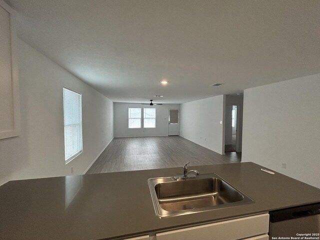 614 Agave, Jourdanton, TX 78026 - kitchen with dishwasher, a sink, ceiling fan, open floor plan, and wood finished floors