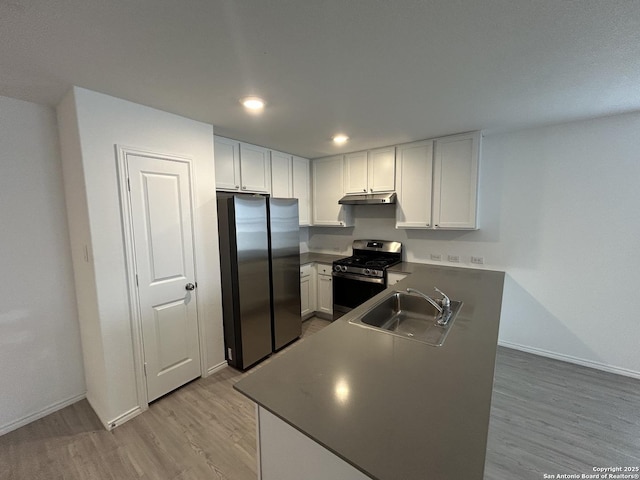 614 Agave, Jourdanton, TX 78026 - kitchen featuring stainless steel appliances, a sink, under cabinet range hood, light wood-style floors, and recessed lighting