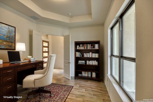 23350 Grande Vis, San Antonio, TX 78261 - home office featuring plenty of natural light, light wood-style floors, a tray ceiling, and baseboards