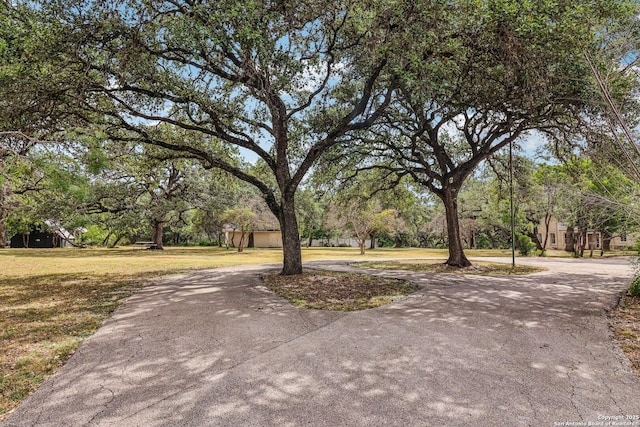 7735 Mocking Bird Ln, San Antonio, TX 78229 - surrounding community featuring curved driveway, a yard, and view of scattered trees