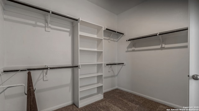 4506 Wild Goose, San Antonio, TX 78245 - walk in closet with dark carpet