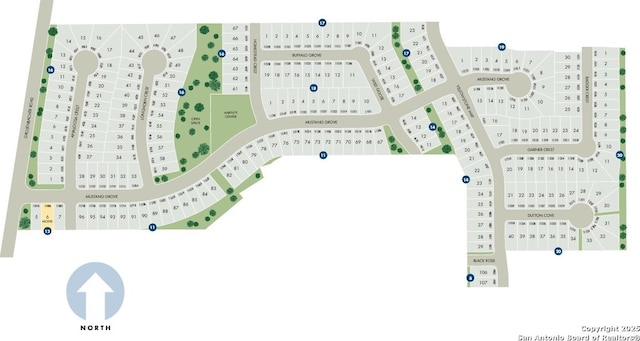 4506 Wild Goose, San Antonio, TX 78245 - map / location
