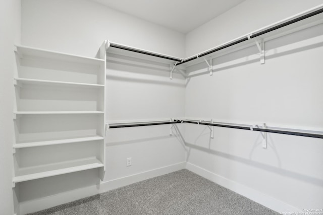 11554 Cottage Pt, San Antonio, TX 78254 - spacious closet featuring carpet floors