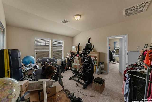5602 Casa Martin, Katy, TX 77449 - workout room featuring carpet flooring and lofted ceiling