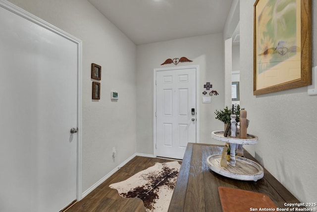 437 Signe, Seguin, TX 78155 - foyer with dark wood-type flooring and baseboards