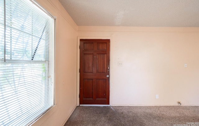 115 Elmo, San Antonio, TX 78225 - carpeted foyer entrance with a textured ceiling and plenty of natural light