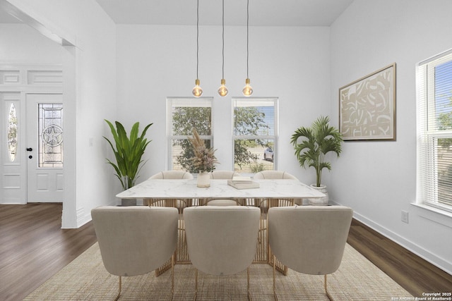 377 County Road 444, Hondo, TX 78861 - dining space featuring dark wood-style floors and baseboards