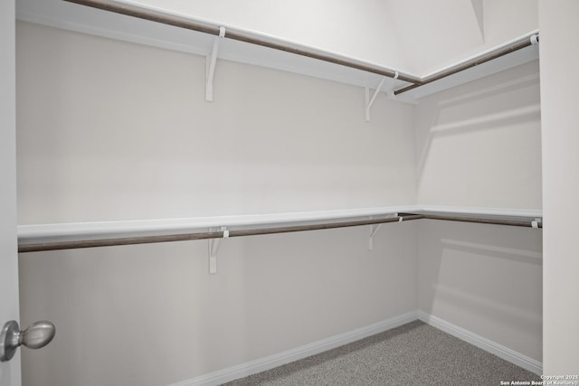 13442 Cosette Xing, San Antonio, TX 78253 - walk in closet featuring carpet