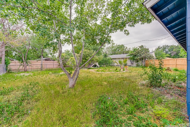7126 Westbriar, San Antonio, TX 78227 - view of yard
