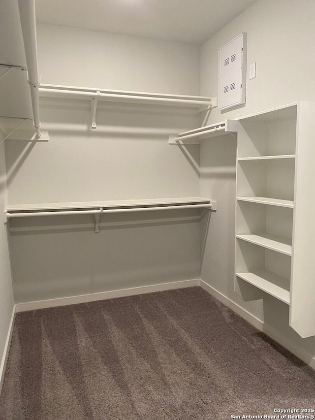 759 Fort Leonard, San Antonio, TX 78245 - walk in closet with carpet flooring