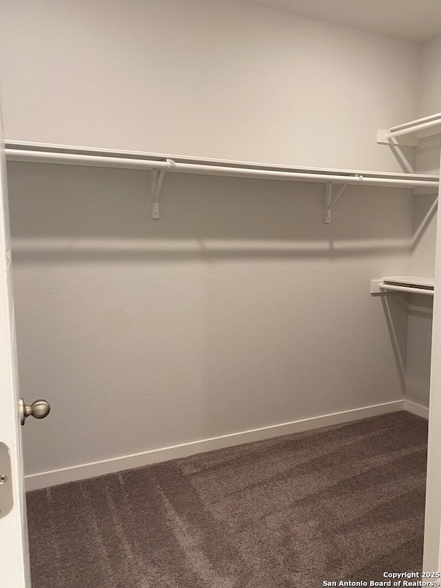 759 Fort Leonard, San Antonio, TX 78245 - spacious closet with carpet