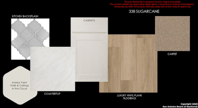 338 Sugarcane, New Braunfels, TX 78132 - view of miscellaneous listing collateral