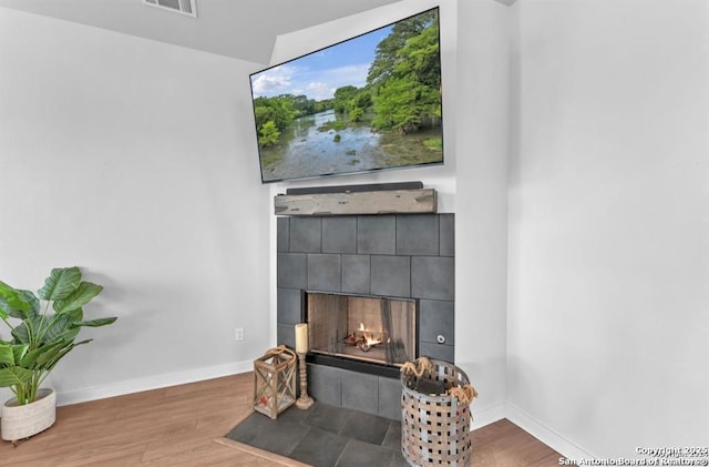 2818 Tortuga Verde, San Antonio, TX 78245 - detailed view of a fireplace, wood finished floors, and baseboards