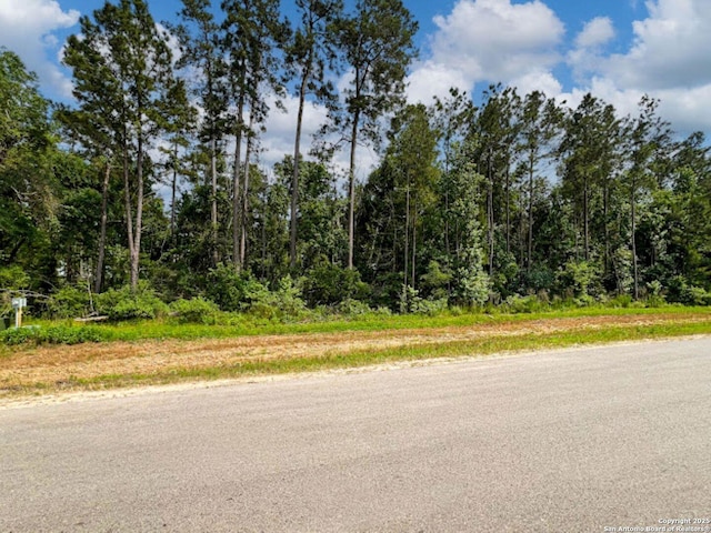 15761 Ridge Rock, Willis, TX 77378