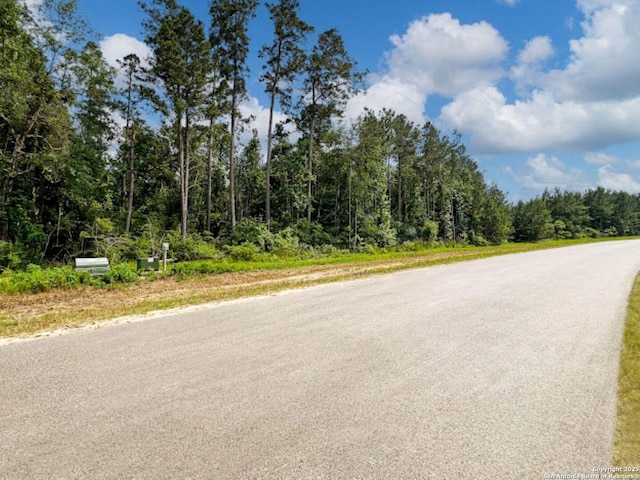 15761 Ridge Rock, Willis, TX 77378