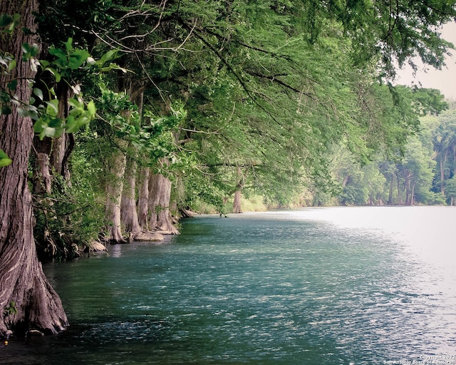 379 Borchers Blvd, New Braunfels, TX 78132 - water view featuring a heavily wooded area