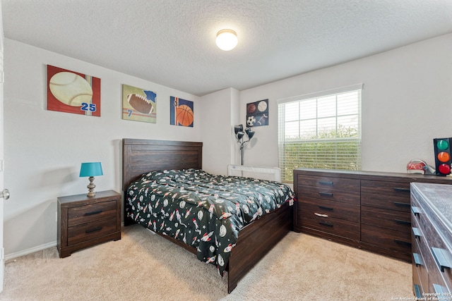 2946 Daisy Mdw, New Braunfels, TX 78130 - bedroom featuring light carpet, a textured ceiling, and baseboards