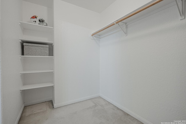 5634 Forest Cyn, San Antonio, TX 78252 - spacious closet with carpet floors