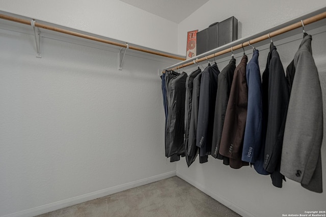 5634 Forest Cyn, San Antonio, TX 78252 - walk in closet with light carpet