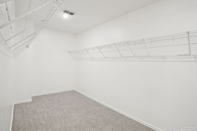 242 Butternut, San Antonio, TX 78245 - spacious closet with carpet