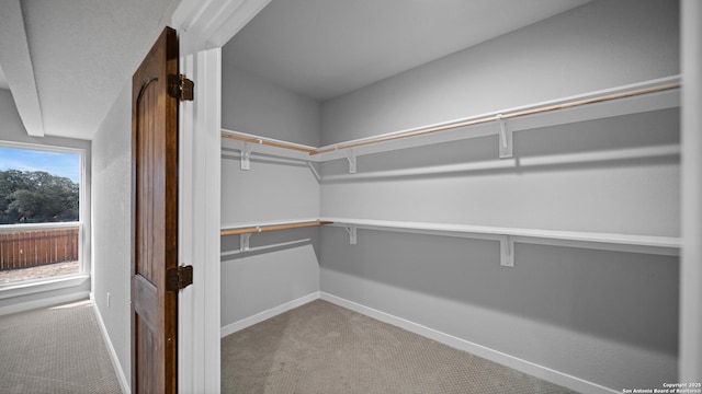 201 Lakeview Cir, La Vernia, TX 78121 - walk in closet with carpet floors