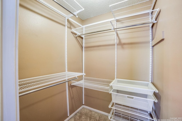 756 County Road 245, Hondo, TX 78861 - spacious closet featuring carpet flooring