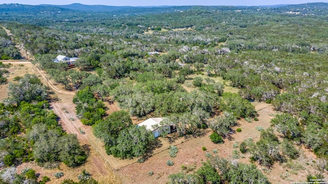 756 County Road 245, Hondo, TX 78861 - bird's eye view of a forest