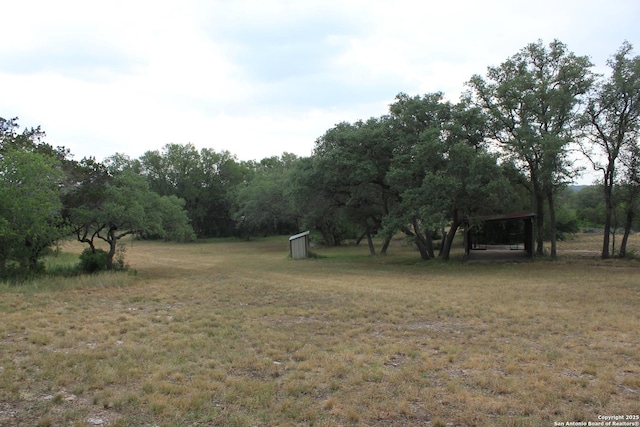 756 County Road 245, Hondo, TX 78861 - view of grassy yard with a detached carport