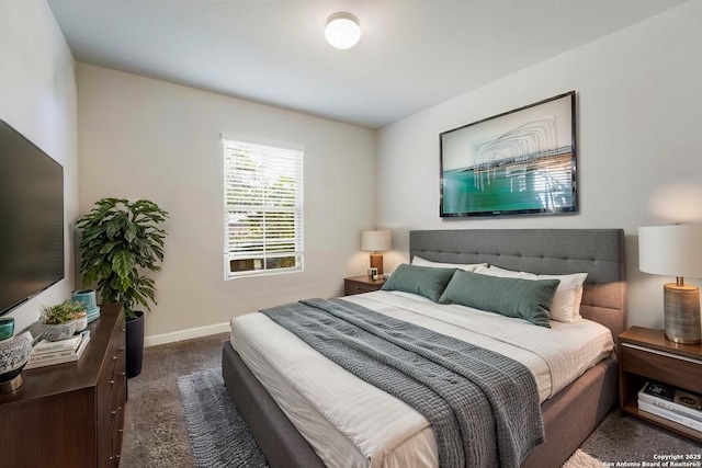 6955 Shiraz Way, Converse, TX 78109 - bedroom with dark carpet and baseboards