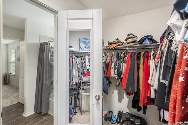 14506 Tundra Swan, San Antonio, TX 78253 - spacious closet with wood finished floors