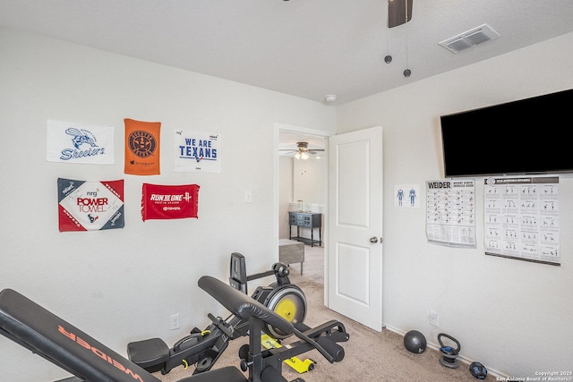 14506 Tundra Swan, San Antonio, TX 78253 - exercise room featuring a ceiling fan, light colored carpet, and baseboards