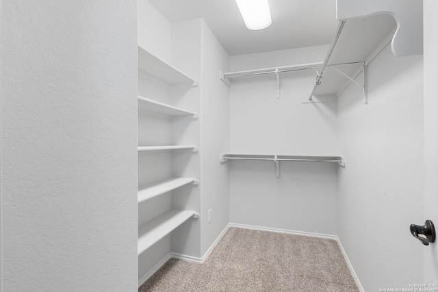 11423 Roadrunner, San Antonio, TX 78245 - spacious closet featuring carpet floors