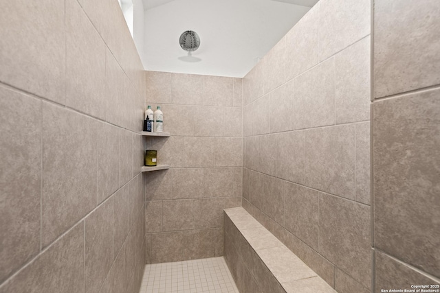 5481 Reverence, Bulverde, TX 78163 - bathroom featuring tiled shower