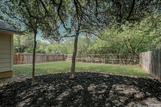543 Willow Grove Dr, San Antonio, TX 78245 - view of yard