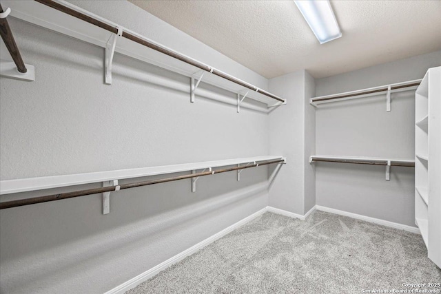 12012 Ivy Post, Schertz, TX 78154 - spacious closet with carpet flooring