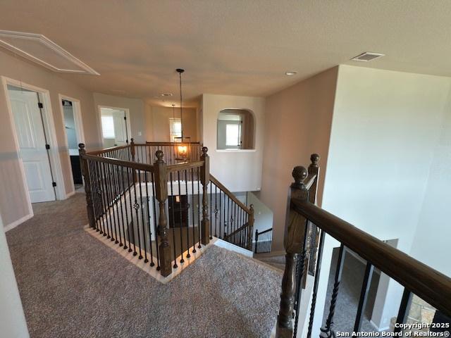 12012 Ivy Post, Schertz, TX 78154 - staircase with attic access and carpet floors