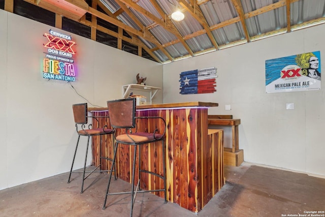 12102 Cherry Blossom, San Antonio, TX 78247 - indoor dry bar with unfinished concrete flooring and vaulted ceiling