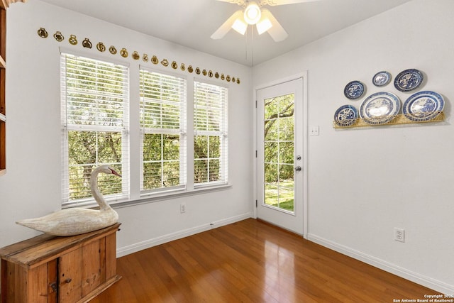 557 Timber Holw, New Braunfels, TX 78132 - foyer entrance featuring wood finished floors, a ceiling fan, and baseboards