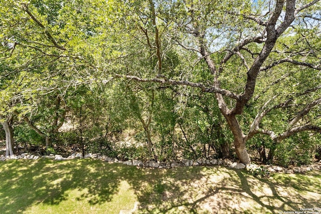 557 Timber Holw, New Braunfels, TX 78132 - view of wooded area