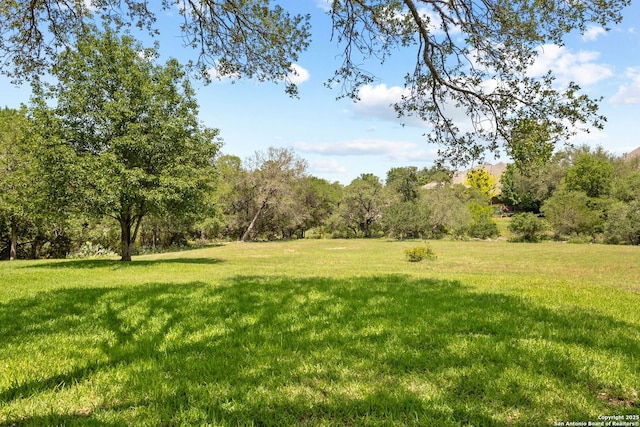 557 Timber Holw, New Braunfels, TX 78132 - view of green lawn