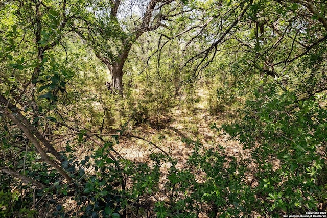 557 Timber Holw, New Braunfels, TX 78132 - view of tree filled area