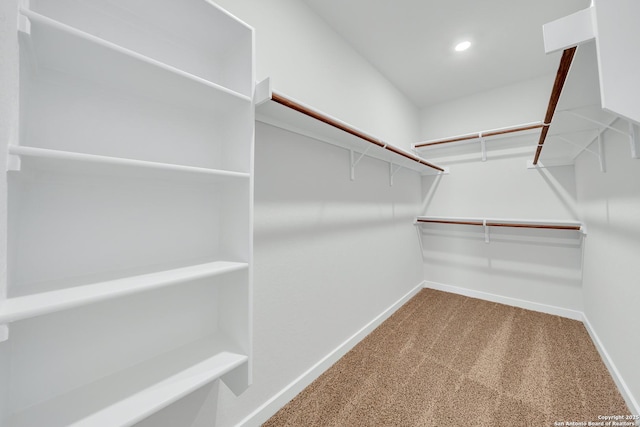 771 Fort Leonard, San Antonio, TX 78245 - walk in closet featuring carpet floors