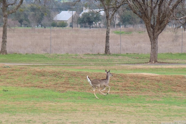 178 Spring Creek Cir, Bandera, TX 78003 - view of yard