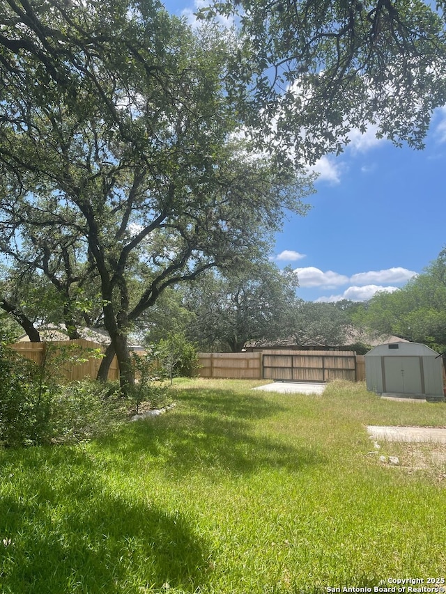14102 Anabella, San Antonio, TX 78247 - view of yard